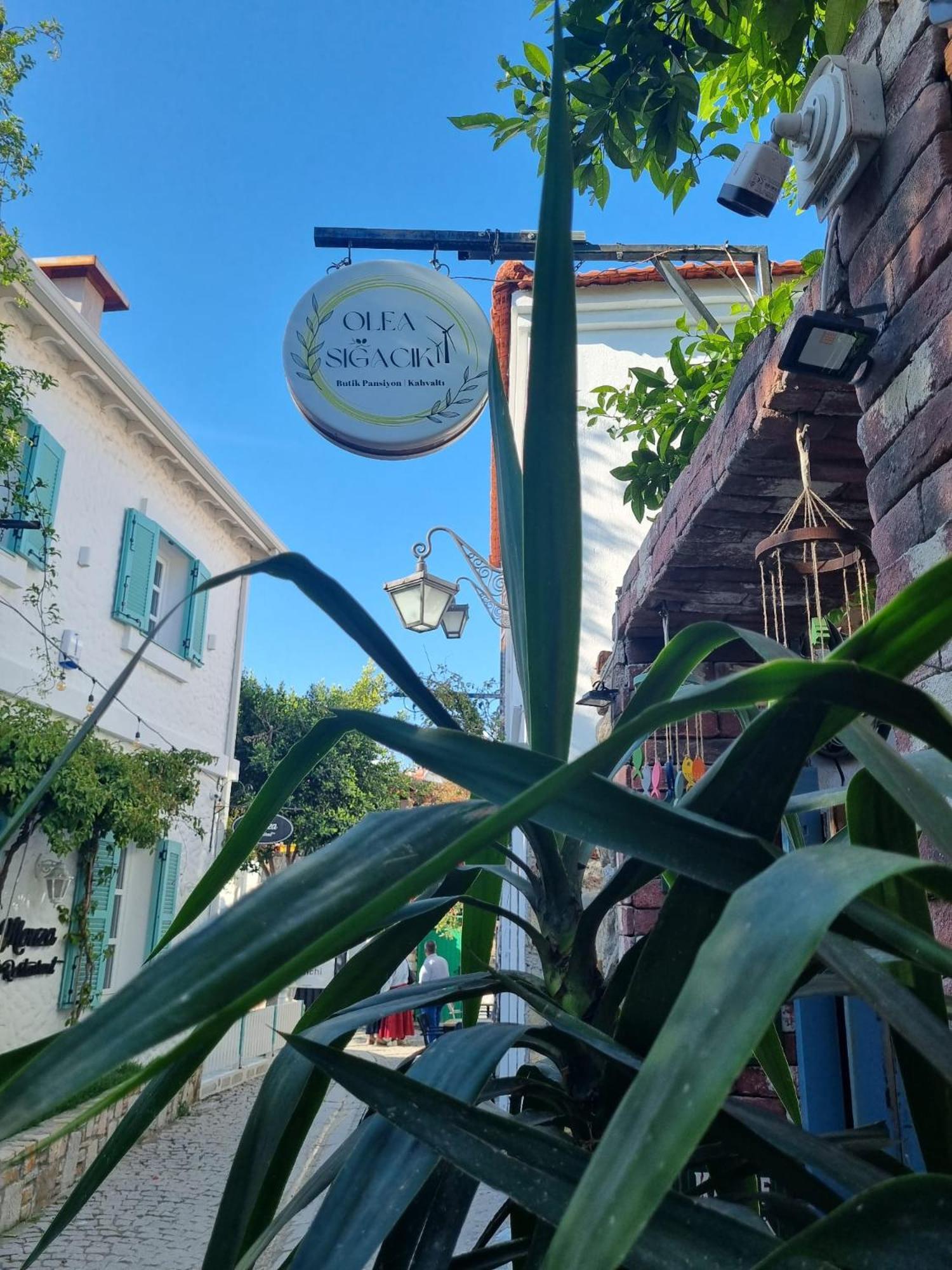 Olea Sigacik Pansiyon & Bistro Seferihisar Exteriér fotografie