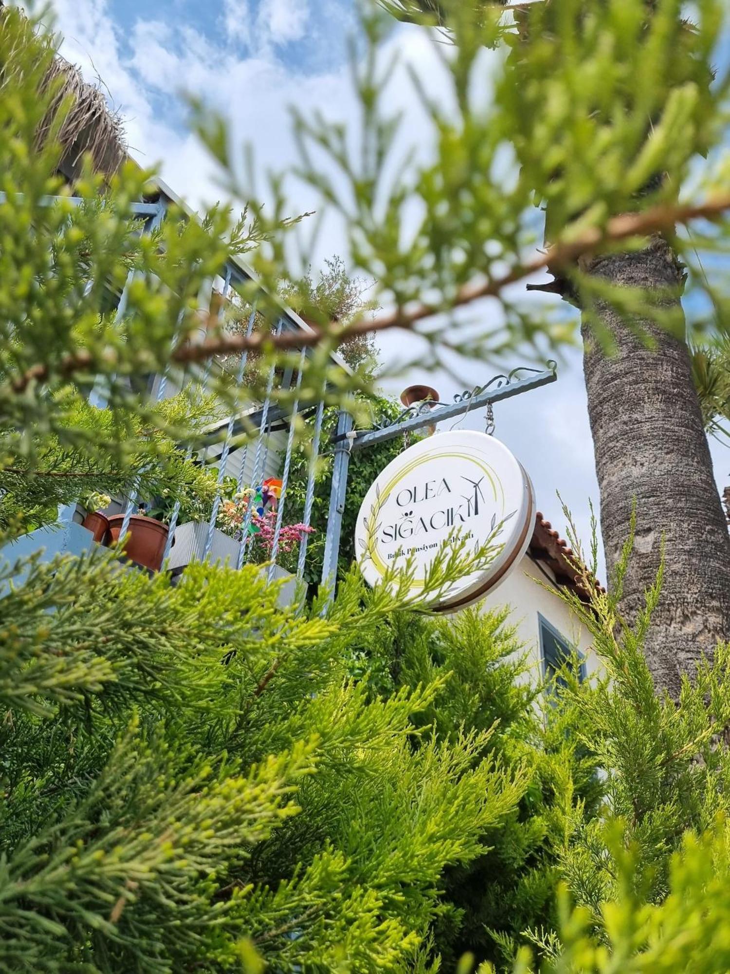 Olea Sigacik Pansiyon & Bistro Seferihisar Exteriér fotografie